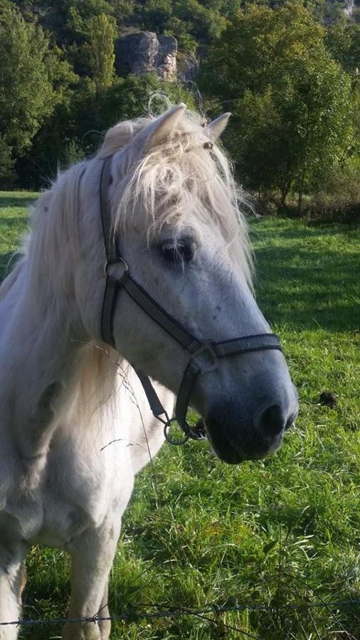 Gite Des Deux Rivieres Nant Zewnętrze zdjęcie